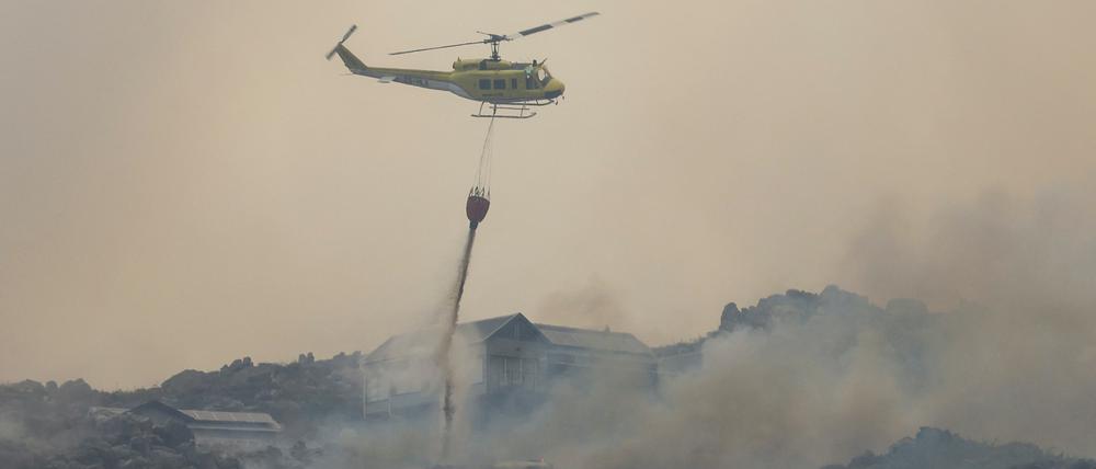 Beim trockenen, heißen und windigen Wetter kam es im Januar auch im benachbarten Südafrika zu großen Bränden.