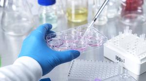 Senior scientist holding pipette and experimenting with stem cells in laboratory model released, Symbolfoto property released, ABRF01092