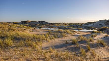 Wolkenloser Himmel über den Dünen am Ostende von Norderney.