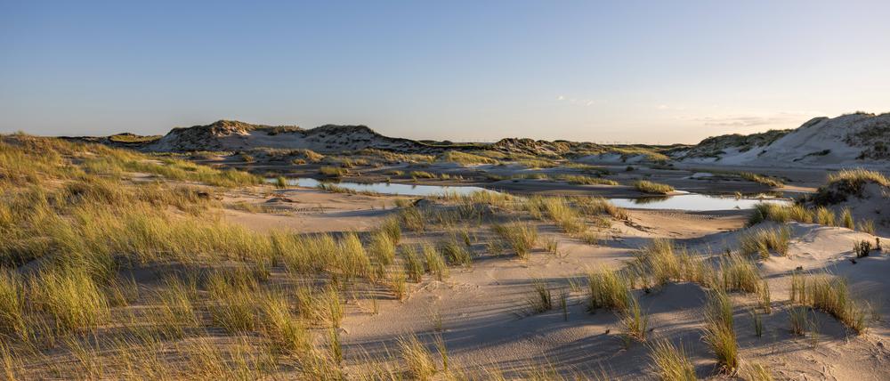 Wolkenloser Himmel über den Dünen am Ostende von Norderney.