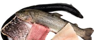 Im Sortiment von Knuspr gibt es auch Produkte regionaler Hersteller, zum Beispiel Fisch aus der Havel von der Fischerei Lechler aus Schwielowsee.