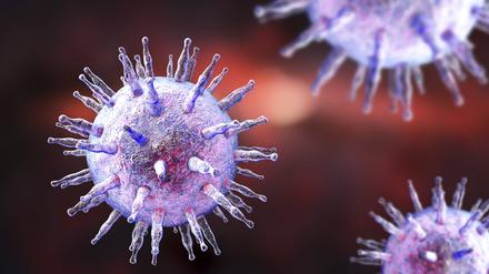 Eine neue Studie zeigt, warum der Mensch zur Brutstätte für Krankheitserreger wurde – und wann dieser Wandel begann. Im Bild eine Visualisierung eines Epstein-Barr-Virus (Humanes Herpesvirus 4). 