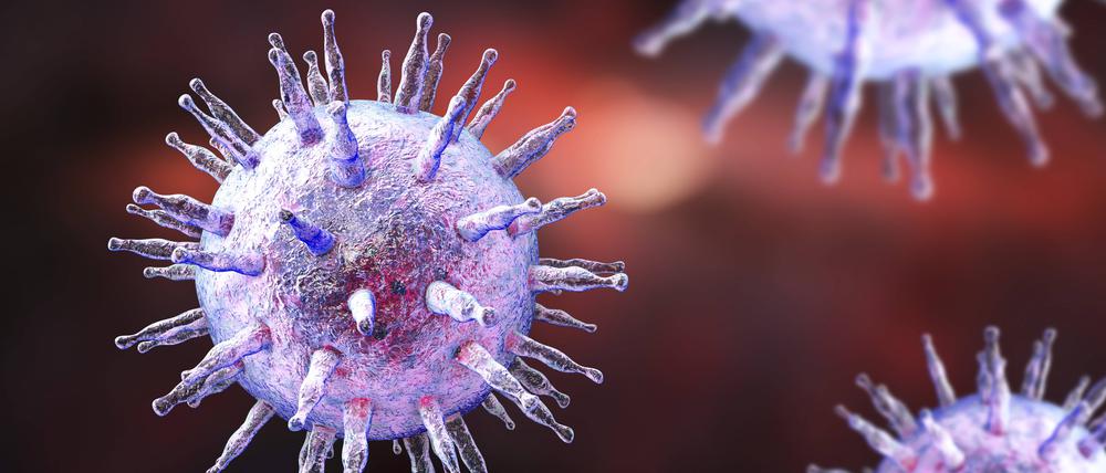 Eine neue Studie zeigt, warum der Mensch zur Brutstätte für Krankheitserreger wurde – und wann dieser Wandel begann. Im Bild eine Visualisierung eines Epstein-Barr-Virus (Humanes Herpesvirus 4).