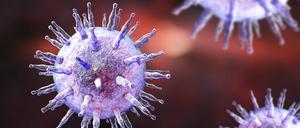 Eine neue Studie zeigt, warum der Mensch zur Brutstätte für Krankheitserreger wurde – und wann dieser Wandel begann. Im Bild eine Visualisierung eines Epstein-Barr-Virus (Humanes Herpesvirus 4). 