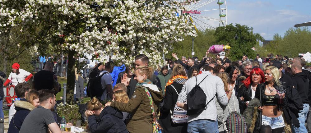 Das Baumblütenfest in Werder (Havel) startet dieses Jahr am 27. April.