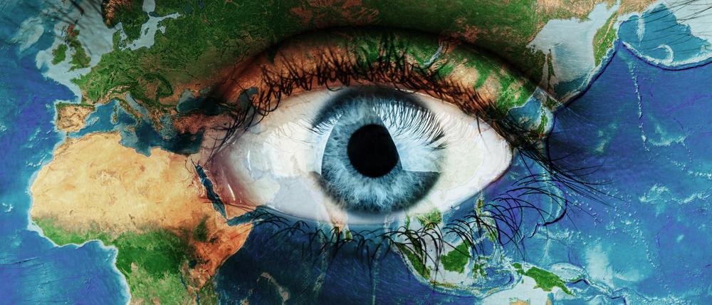 Die Erde gemalt auf ein Gesicht.