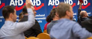 ARCHIV - 16.03.2024, Brandenburg, Jüterbog: Teilnehmer des Landesparteitags AfD Brandenburg halten bei einer Abstimmung ihre Stimmkarten hoch. Auf dem Parteitag wählt die derzeit größte Oppositions-Partei im Landtag einen neuen Landesvorstand. (zu dpa: «AfD Brandenburg will keine Geldleistungen mehr für Asylbewerber») Foto: Monika Skolimowska/dpa +++ dpa-Bildfunk +++