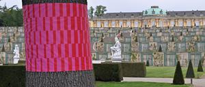 Unübersehbar sind die gekennzeichneten Bäume im Park Sanssouci, die durch Hitze, Trockenheit oder Schädlinge geschädigt sind.