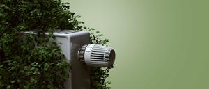 Wärme kostet. Erst recht, wenn sie ökologisch korrekt sein soll.