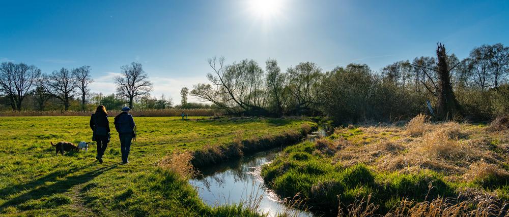 Spaziergang in der freien Natur, Berlin Lübars *** Walk in the open nature, Berlin Lübars 1020915568