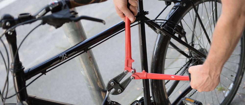 Ein Mann versucht mit einem Bolzenschneider ein Fahrradschloss aufzubrechen (gestellte Szene).