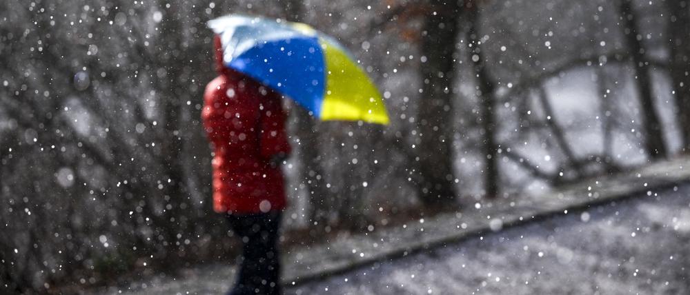 Eine Spaziergängerin geht mit einem Regenschirm während eines Schauers bei Sonnenschein im Volkspark Wilmersdorf spazieren.