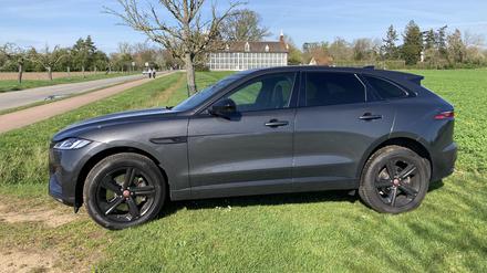 Der Jaguar F-Pace braucht schon eine angemessene Kulisse - in diesem Fall das Palmenhaus im Wörlitzer Park in Sachsen-Anhalt.