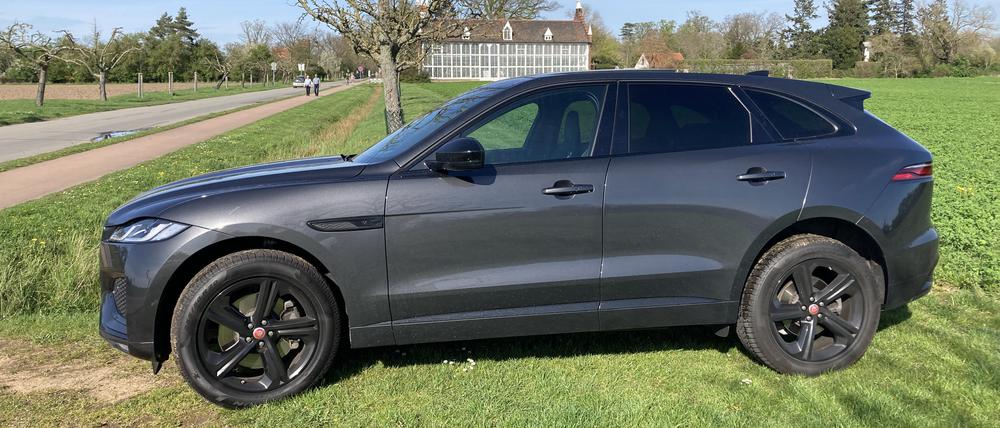 Der Jaguar F-Pace braucht schon eine angemessene Kulisse - in diesem Fall das Palmenhaus im Wörlitzer Park in Sachsen-Anhalt.