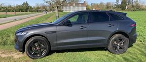 Der Jaguar F-Pace braucht schon eine angemessene Kulisse - in diesem Fall das Palmenhaus im Wörlitzer Park in Sachsen-Anhalt.