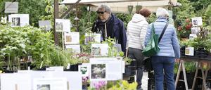 Staudenbasar auf der Freundschaftsinsel, Potsdam, 28.04.2019 Foto: Sebastian Gabsch PNN
