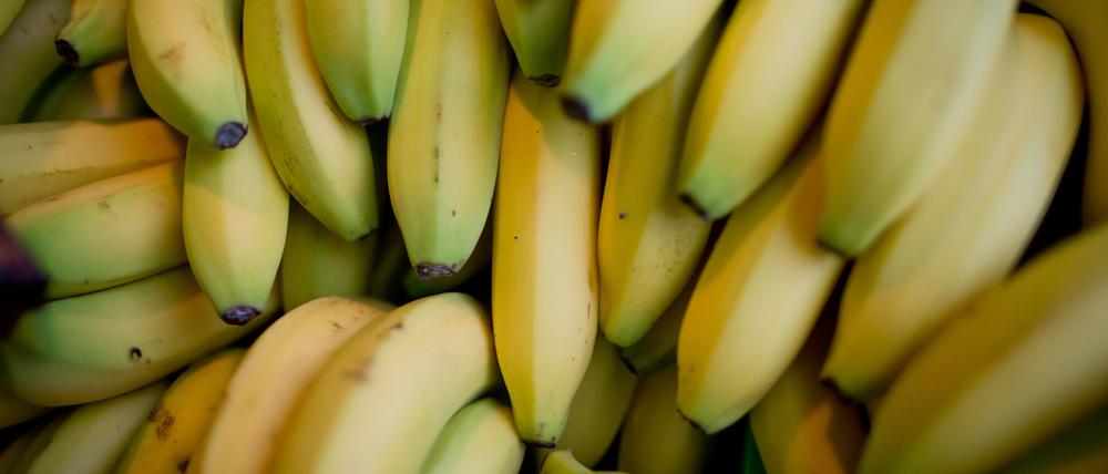 Mehrere Bananen liegen übereinander. Unter ihnen werden häufiger Drogen versteckt.