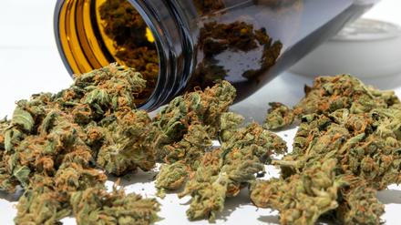 Medizinisches Cannabis aus der Apotheke mit Glas Hanf Hanfpflanze Droge Haschisch Marihuana Rauschmittel / Datum: 21.04.2023 / *** Medicinal cannabis from the pharmacy with glass hemp hemp plant drug hashish marijuana intoxicant Date 21 04 2023
