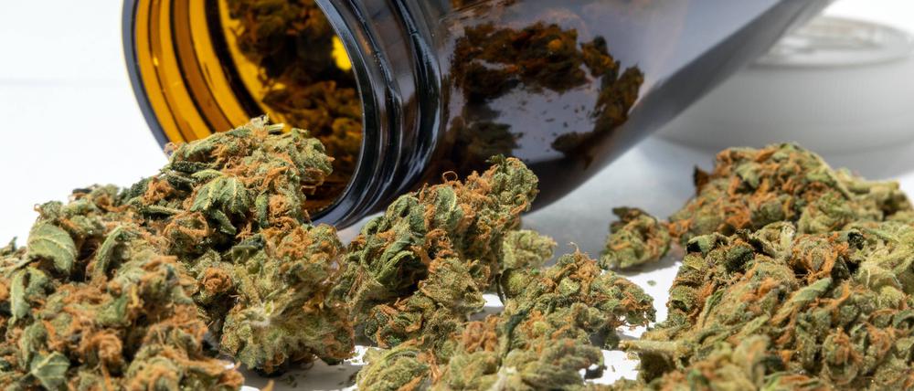 Medizinisches Cannabis aus der Apotheke mit Glas Hanf Hanfpflanze Droge Haschisch Marihuana Rauschmittel / Datum: 21.04.2023 / *** Medicinal cannabis from the pharmacy with glass hemp hemp plant drug hashish marijuana intoxicant Date 21 04 2023