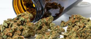 Medizinisches Cannabis aus der Apotheke.