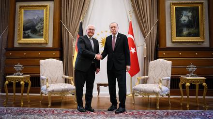 Bundespräsident Frank-Walter Steinmeier (l) und Recep Tayyip Erdoğan, Präsident der Türkei, treffen sich zu einem Gespräch im Präsidialpalast.