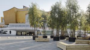 Kulturforum mit Bäumen. 