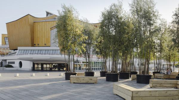 Kulturforum mit Bäumen. 