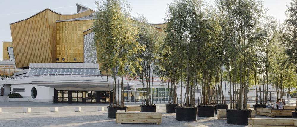 Kulturforum mit Bäumen.