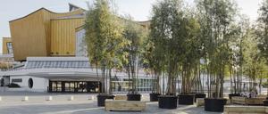 Kulturforum mit Bäumen.