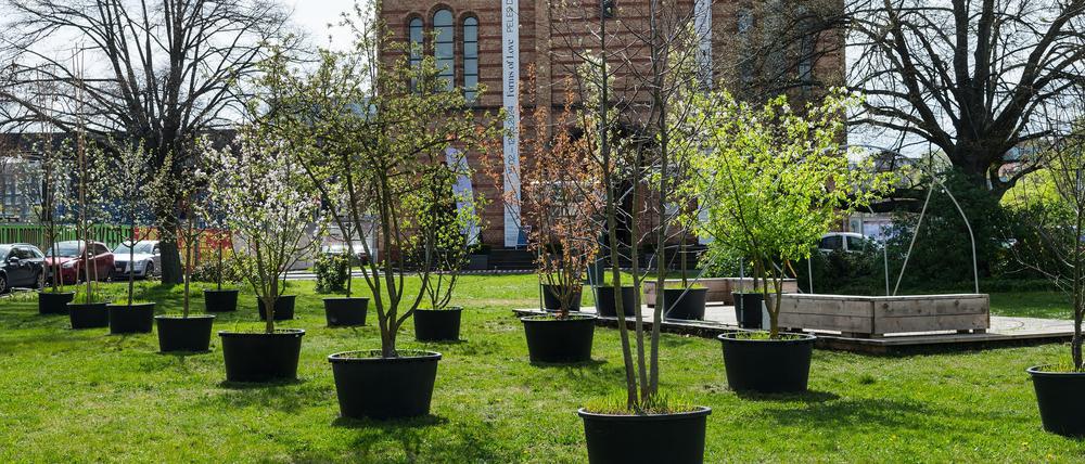 Vom Bezirk dann doch genehmigt. Die neue Topfparade vor der Matthäuskirche.
