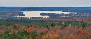 03.11.2021, Brandenburg, Rauen: Blick vom 40 Meter hohen Aussichtsturm über den herbstlichen Wald in den Rauenschen Bergen, auch Rauener Berge genannt, nach Bad Saarow zum Scharmützelsee. Der Aussichtstum steht am höchsten Punkt der 153 Meter hohen Rauener Berge.