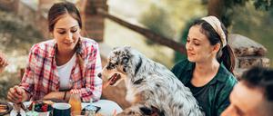 Süß, aber nicht jedermanns Sache. Der Hund weiß das leckere Essen auch zu schätzen.