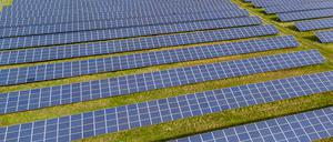 Potsdams kommunaler Energieversorger EWP plant einen Solarpark in Groß Kreutz. Ab 2025 soll der erste regionale Naturstrom ins Netz eingespeist werden.