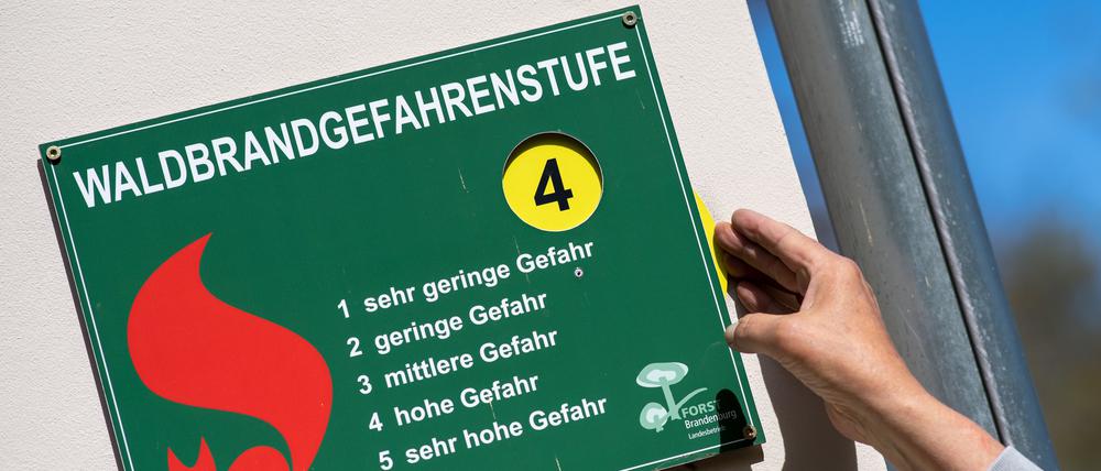 ARCHIV - 25.04.2019, Brandenburg, Eberswalde: Waldbrandgefahr im Frühling: Auf einer Infotafel wird die Waldbrandgefahrenstufe 4 angezeigt.
