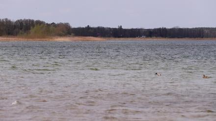 Große Seddiner See, Grosse Seddiner See, Gewässer, Gewaesser, Foto: Ottmar Winter PNN ACHTUNG: Foto ist ausschließlich für redaktionelle Berichterstattung der PNN und des TGSP!