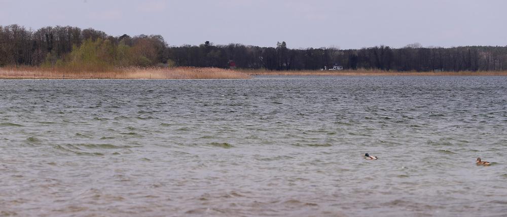 Große Seddiner See, Grosse Seddiner See, Gewässer, Gewaesser, Foto: Ottmar Winter PNN ACHTUNG: Foto ist ausschließlich für redaktionelle Berichterstattung der PNN und des TGSP! 