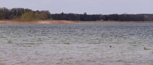 Große Seddiner See, Grosse Seddiner See, Gewässer, Gewaesser, Foto: Ottmar Winter PNN ACHTUNG: Foto ist ausschließlich für redaktionelle Berichterstattung der PNN und des TGSP! 