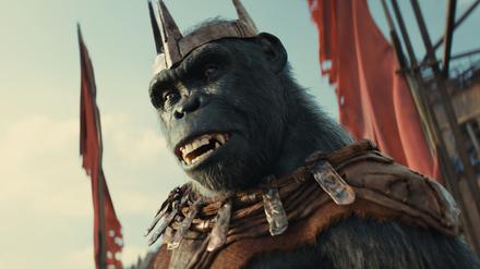 Proximus Caesar (voiced by Kevin Durand) in 20th Century Studios' KINGDOM OF THE PLANET OF THE APES. Photo courtesy of 20th Century Studios. © 2023 20th Century Studios. All Rights Reserved.