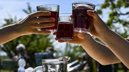 Gäste stoßen unter Obstbäumen beim 145. Baumblütenfest mit Obstwein an. Vom 27. April bis 5. Mai öffnen die Obsthöfe und Gärten ihre Türen. Das traditionelle große Volksfest vom 3. bis 5. Mai soll dann ein großes Angebot für Kinder und Erwachsene bieten. (zu dpa: «Volksfest im Rahmen des Baumblütenfestes beginnt») Foto: Jens Kalaene/dpa +++ dpa-Bildfunk +++