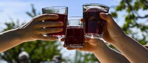 Gäste stoßen unter Obstbäumen beim 145. Baumblütenfest mit Obstwein an. Vom 27. April bis 5. Mai öffnen die Obsthöfe und Gärten ihre Türen. Das traditionelle große Volksfest vom 3. bis 5. Mai soll dann ein großes Angebot für Kinder und Erwachsene bieten. (zu dpa: «Volksfest im Rahmen des Baumblütenfestes beginnt») Foto: Jens Kalaene/dpa +++ dpa-Bildfunk +++
