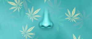 Fast jeder zweite Deutsche empfindet den Geruch von Cannabis als unangenehm.