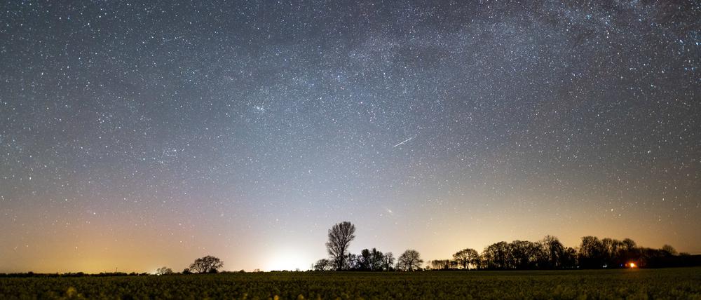 Der Sternenhimmel leuchtet über einem Rapsfeld. 