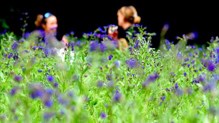 Zwei junge Frauen nutzen auf einer Blumenwiese das warme Sommerwetter für einen Plausch. 