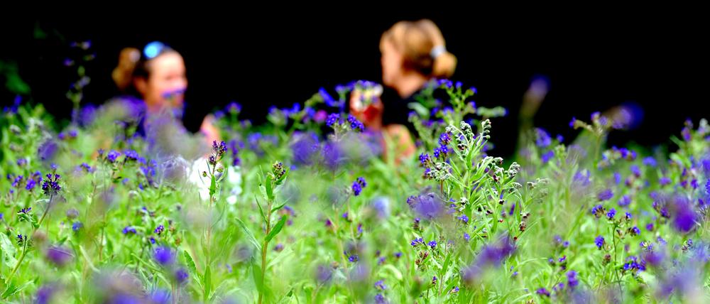 Zwei junge Frauen nutzen auf einer Blumenwiese das warme Sommerwetter für einen Plausch.