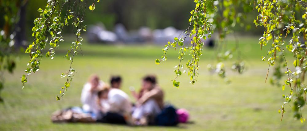 Junge Menschen sitzen beim sonnigen Wetter auf dem Rasen im Tiergarten.