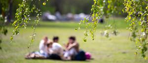 Junge Menschen sitzen beim sonnigen Wetter auf dem Rasen im Tiergarten. 