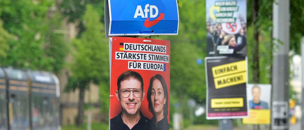 Plakate von SPD-Politiker Matthias Ecke und von der AfD hängen übereinander an einer Straße in Dresden.