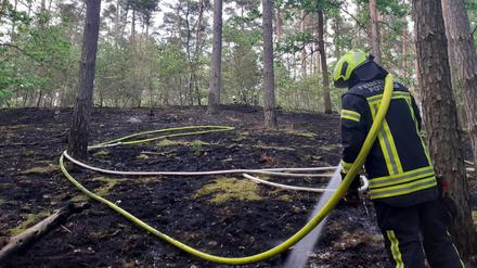 In den Potsdamer Ravensbergen gab es einen Waldbrand.