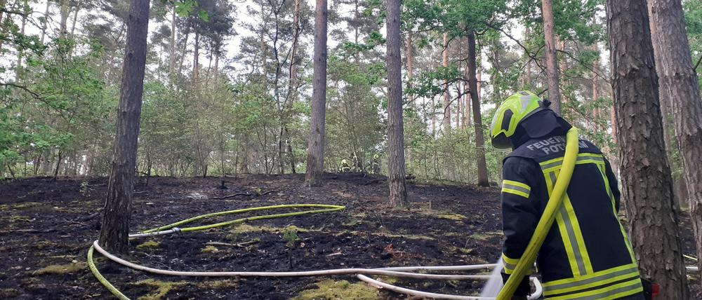 In den Potsdamer Ravensbergen gab es einen Waldbrand.