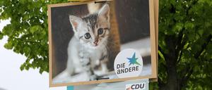 Wahlplakate Kommunalwahl 2024 Potsdam